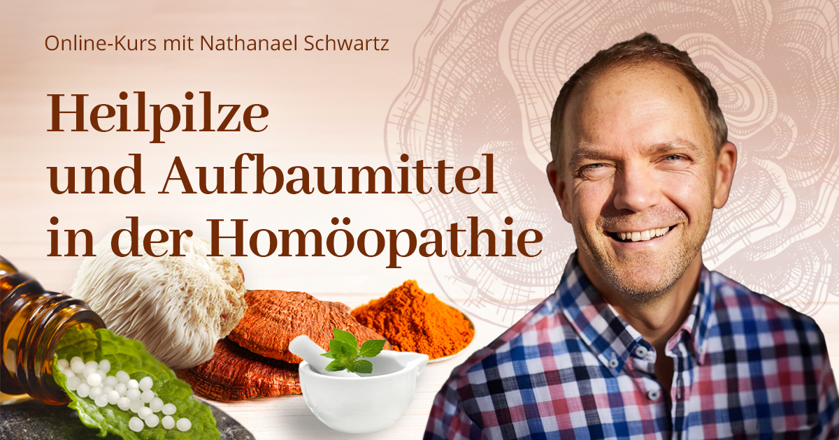 Heilpilze & Aufbaumittel in der HomöopathieErhalte 10 EUR Rabatt mit dem Rabattcode HDH26-10