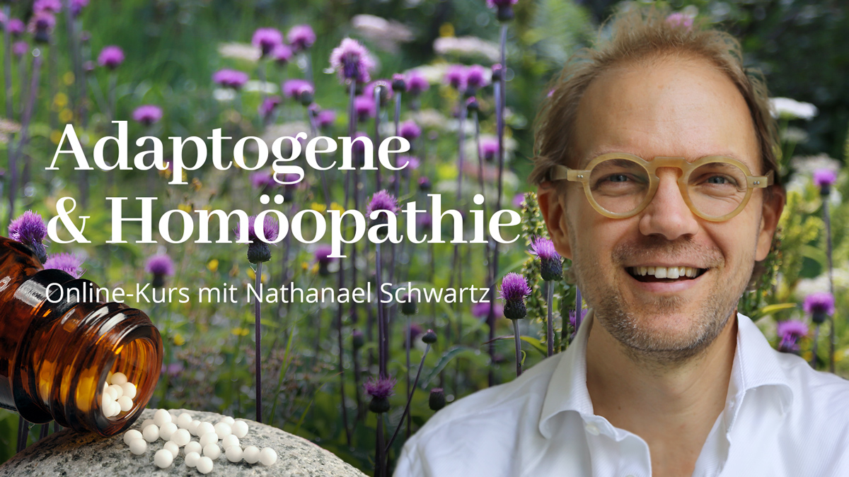 Adaptogene & HomöopathieErhalte 10 EUR Rabatt mit dem Rabattcode HDH26-10